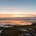 Pur Am Nordseedeich By Interhome Vakantiehuis