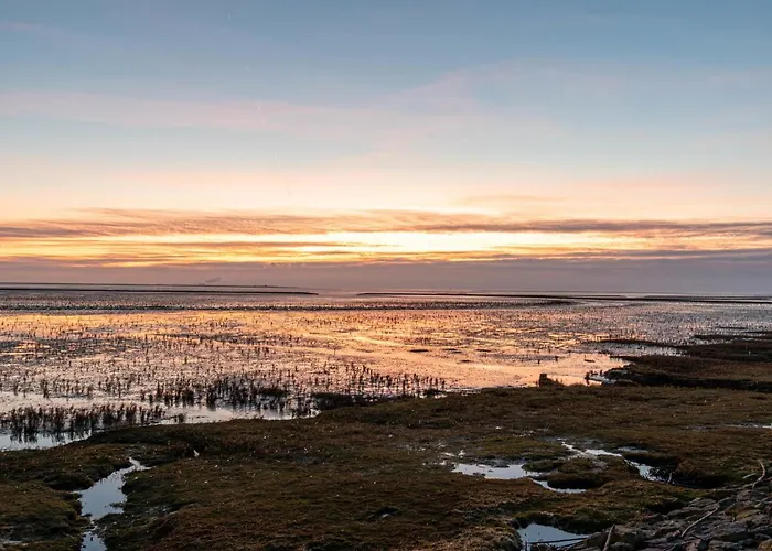 Pur Am Nordseedeich By Interhome 度假居