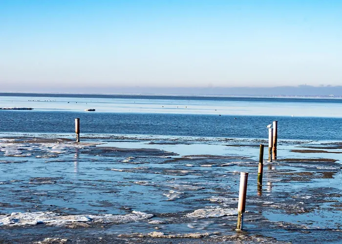 Pur Am Nordseedeich By Interhome 度假居 *